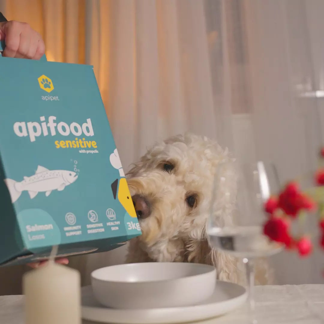 GRATIS Apifood Uzorak