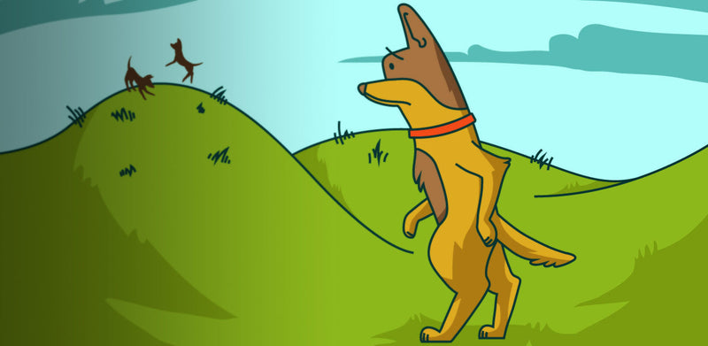 Problemi s kukovima kod pasa