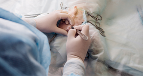 Kastracije - preoperativni i postoperativni postupak