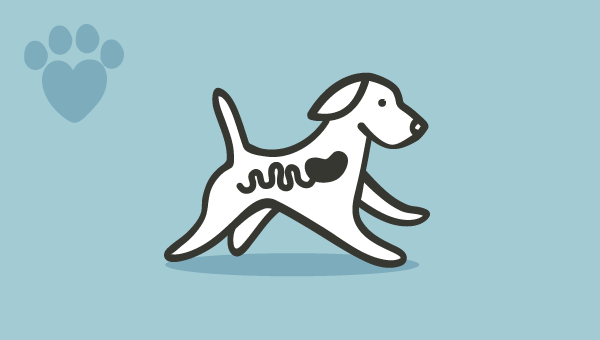 7 najčešćih probavnih problema kod pasa