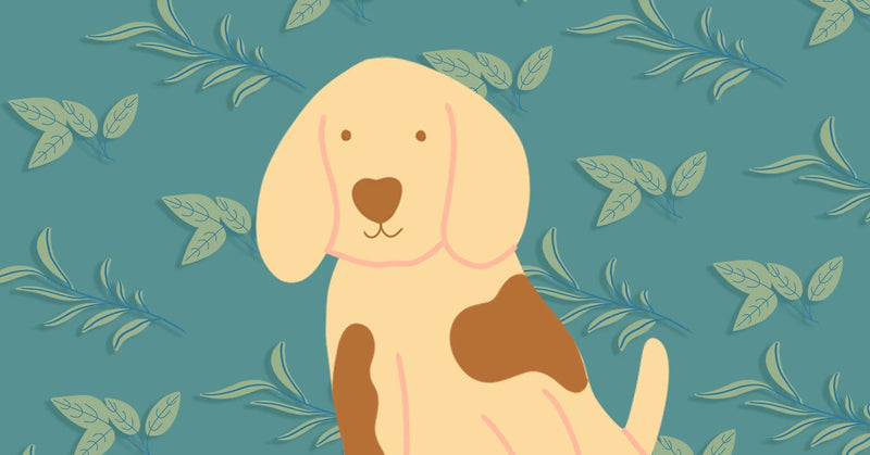 Problemi sa disanjem kod pasa