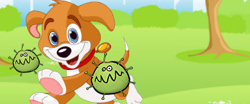 Parvovirus - čuvajte svoje štence