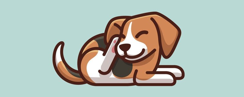 10 najčešćih stanja kože psa