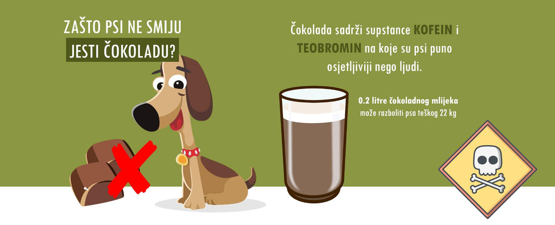 Zašto psi ne smiju jesti čokoladu?