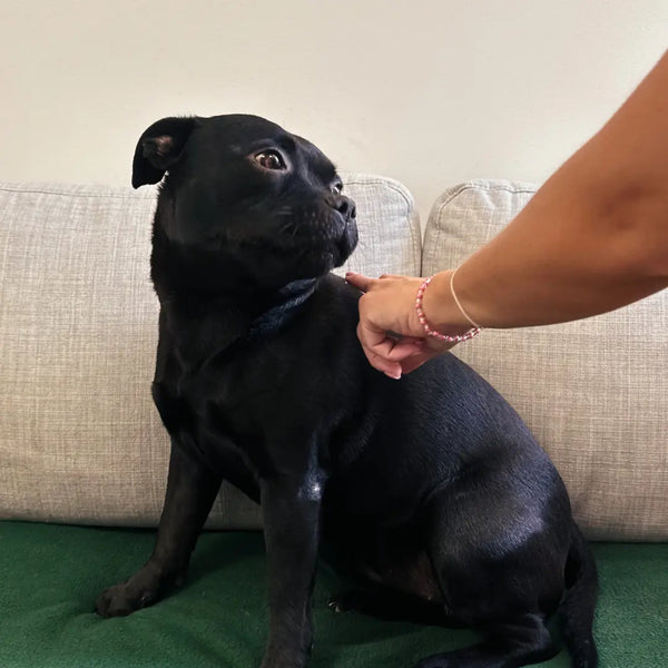 2. Nježno nanesi kremu izravno na zahvaćeno područje.