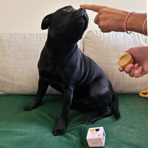 3. Pusti da se osuši i stvori zaštitni film koji ubrzava oporavak kože.