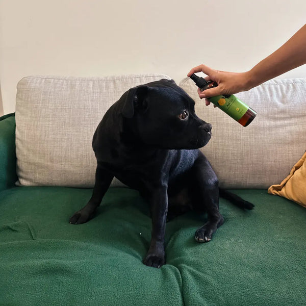 1. Pošpricaj proizvod po krznu tijela i oko nogu, izbjegavajući glavu, oči i usta.