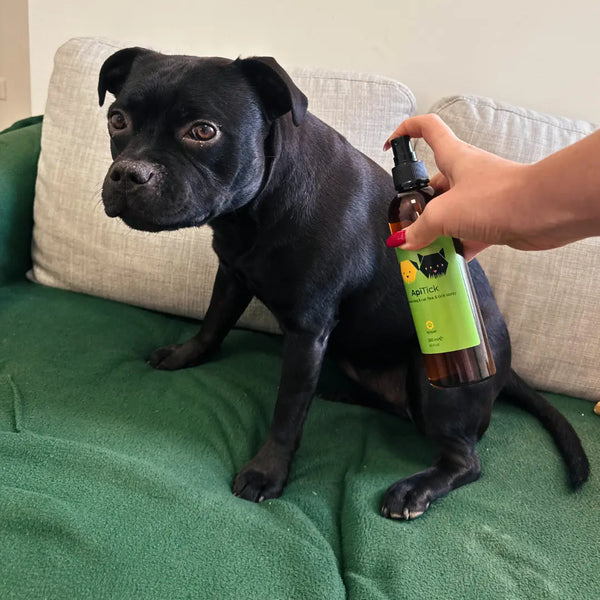 2. Nakon nanošenja pripazi da se ljubimac ne liže dok se proizvod ne osuši. Ljubimac je spreman za bezbrižnu šetnju u prirodi.