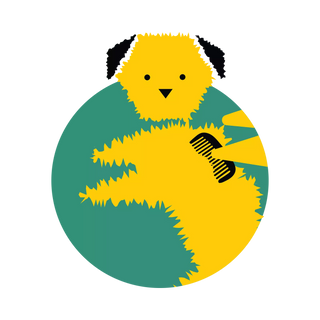 Ne češem s razlogom.