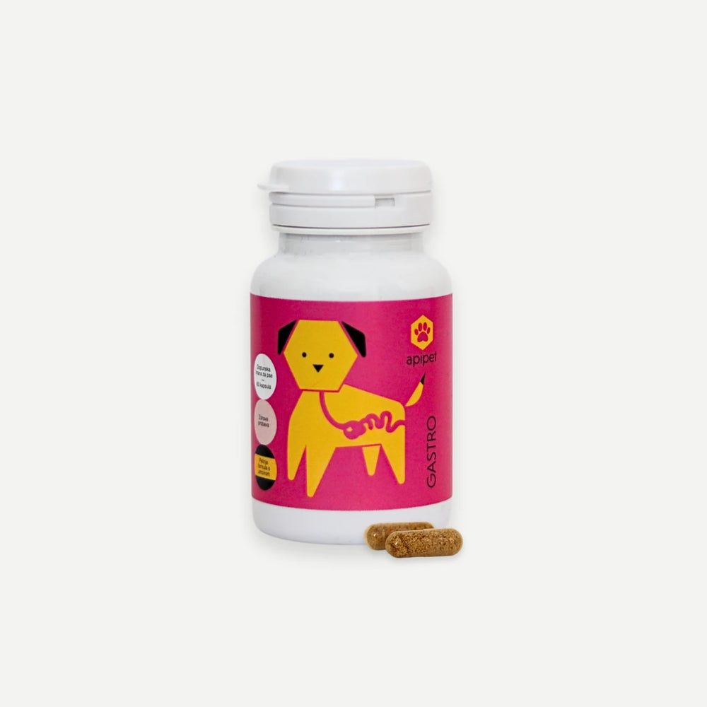 Apipet Gastro