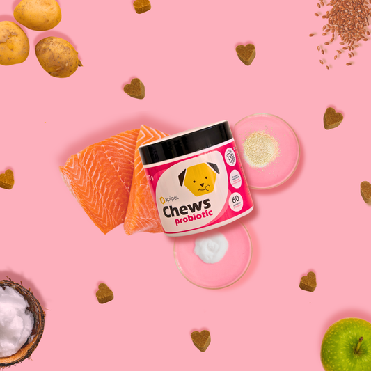 Apipet Chews Probiotic