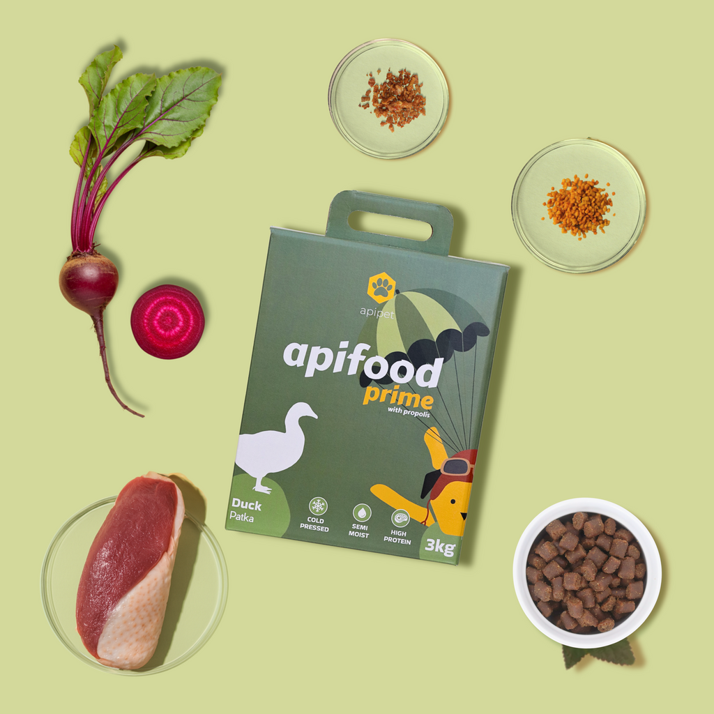 Apifood Prime Patka – hladno prešana hrana za pse s propolisom