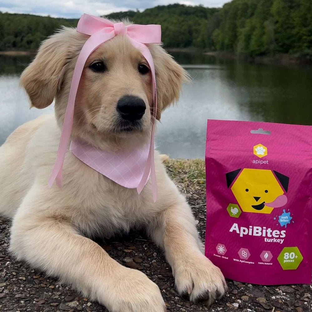ApiBites - Puretina