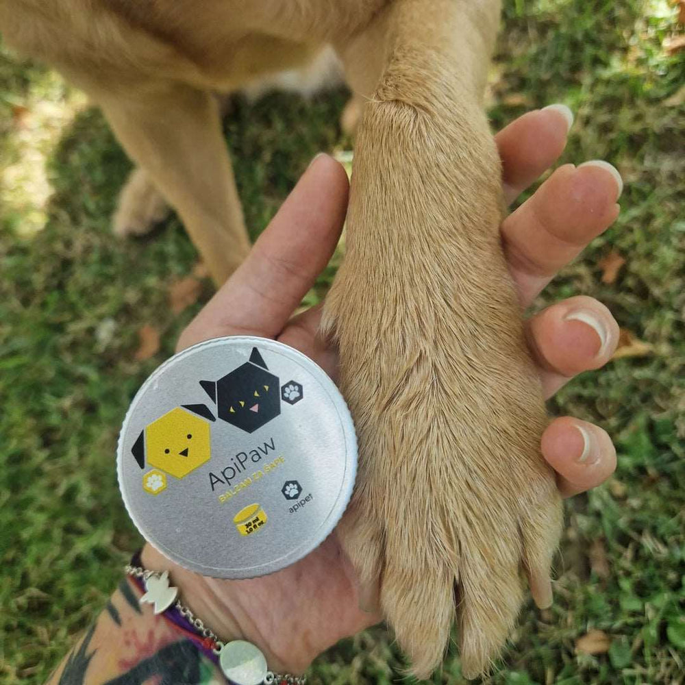 ApiPaw