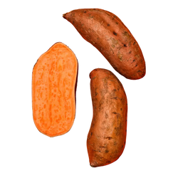 Sušeni Batat