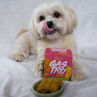Apipet Brix Gastro