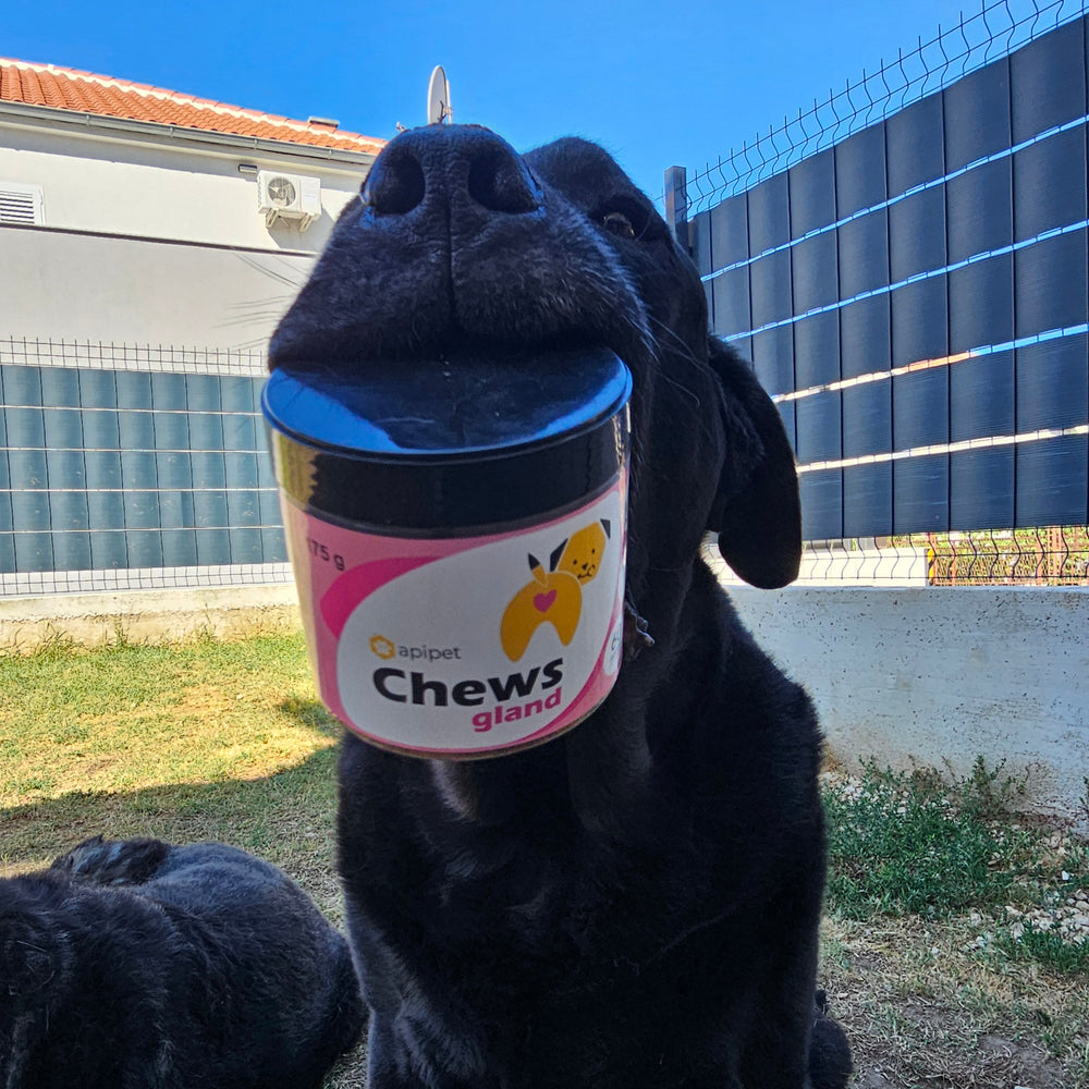 Apipet Chews Gland