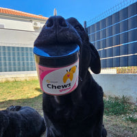 Apipet Chews Gland