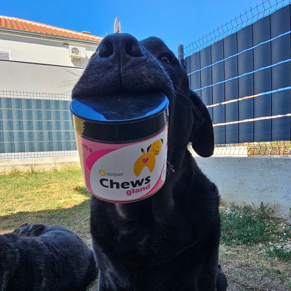 Apipet Chews Gland