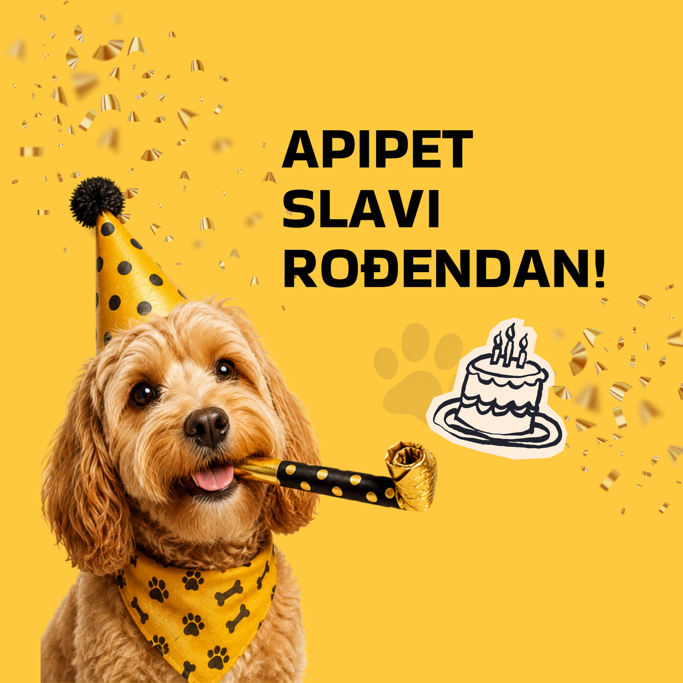 Slavimo Apipetov rođendan 🎂