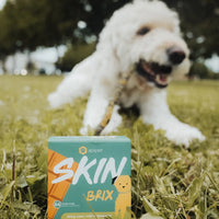 Apipet Brix Skin