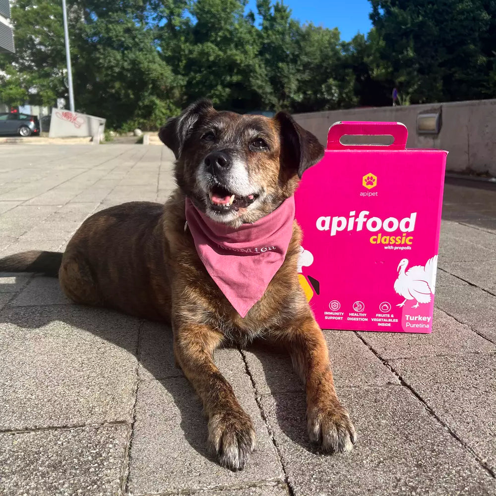 Apifood Vital Puretina