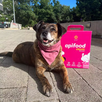 Apifood Vital Puretina