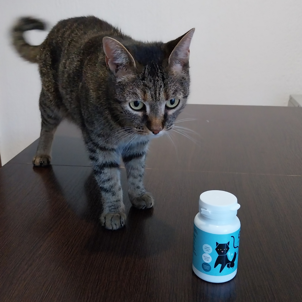 Apicat Multivitamin