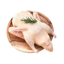 Patka