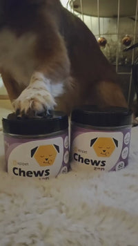 Apipet Chews Zen