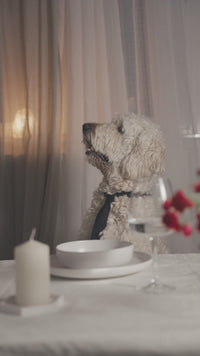 Apifood Sensitive Losos 2