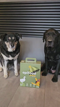 Apifood Prime Patka