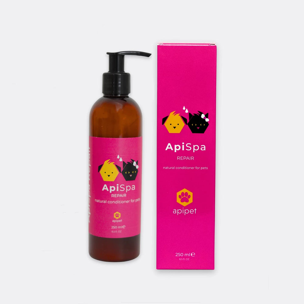 Apispa Repair