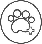 Oštećene šape ljubimaca