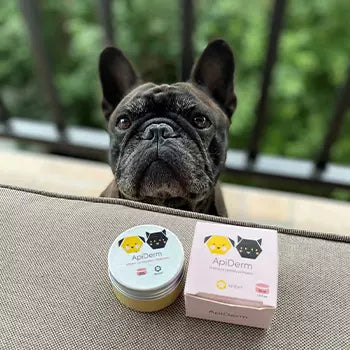 Zadovoljni Apipet ljubimac