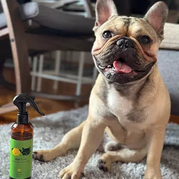 Zadovoljni Apipet ljubimac