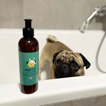 Zadovoljni Apipet ljubimac