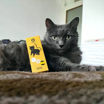 Zadovoljni Apipet ljubimac