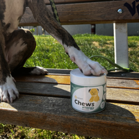 Apipet Chews Allergy Support