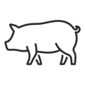 Jedan izvor proteina – Iberico svinjetina