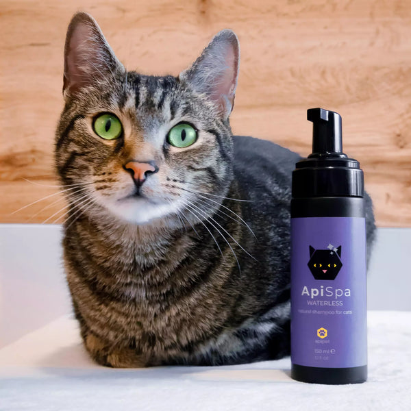 Zadovoljni Apipet ljubimac