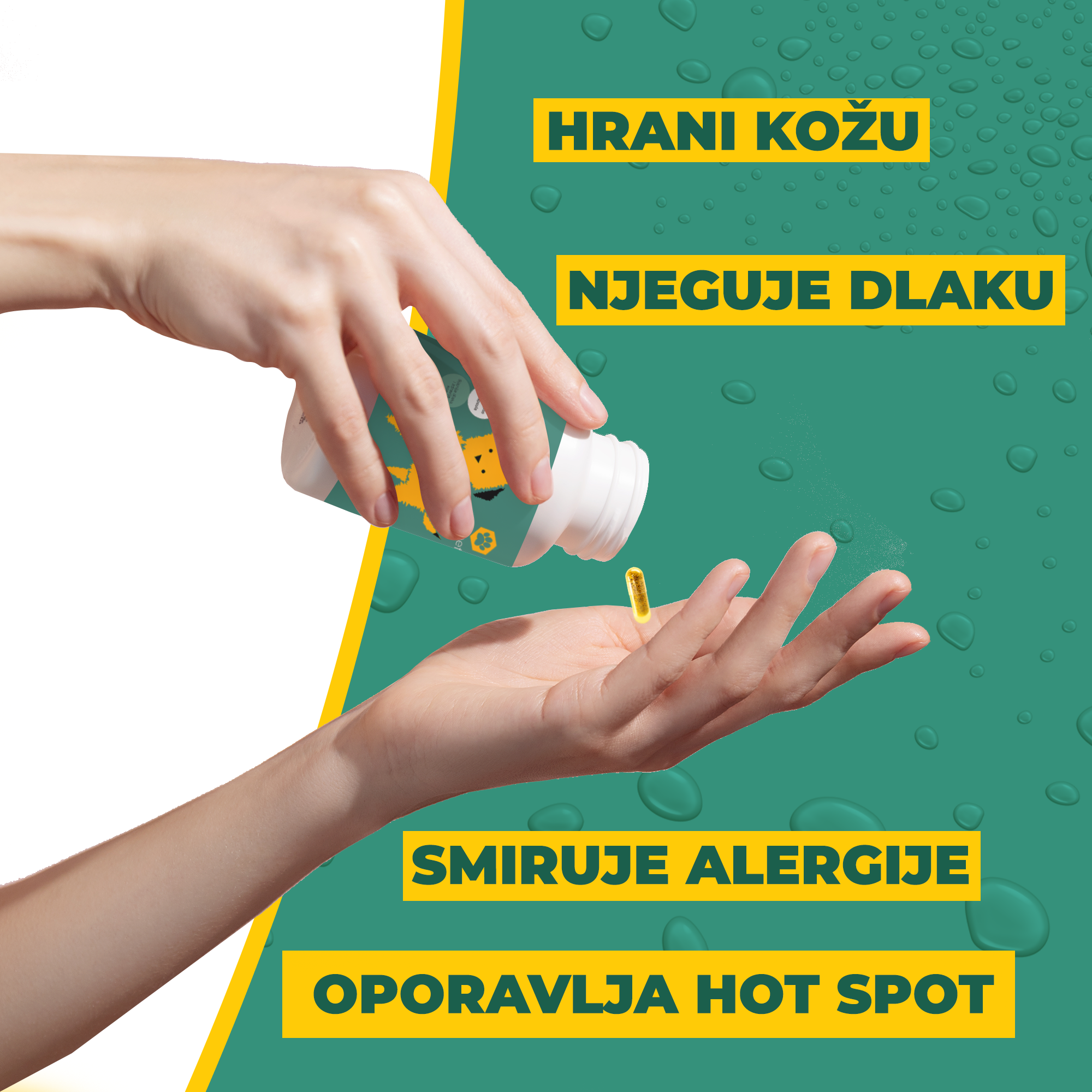 Apipet Skin